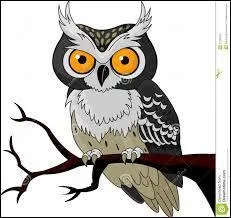 I- Lequel de ces termes commence réellement par un I ?