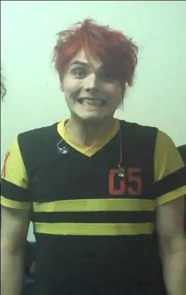 Quelle star de la musique a insulté Gerard lors d'un interview ?