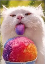 Se faire discret comme une :