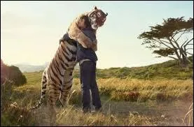 Avoir une cervelle de :