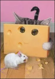 Avoir un appétit de :    