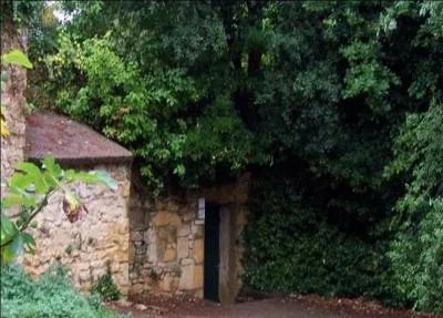 Elles portent le nom de Cougnac et ce sont ------------.