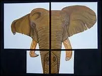 L'éléphant d'Afrique a de plus grandes oreilles que l'éléphant d'Asie.