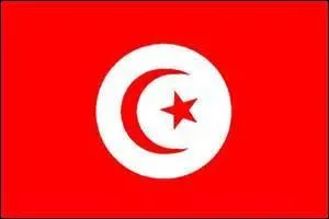 C'est le drapeau de la Turquie.