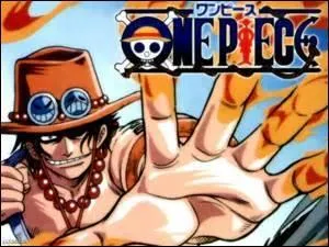 Quel est le prénom du demi-frère de Luffy ?