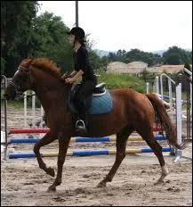 Pour galoper sur le bon pied, on :