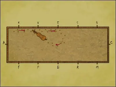 Comment s'appelle cette figure ?