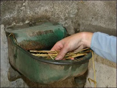 Que signifie "couper l'eau" ?