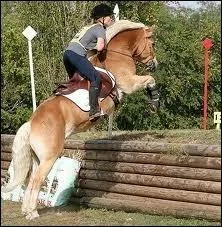 Comment s'appelle cet obstacle ?