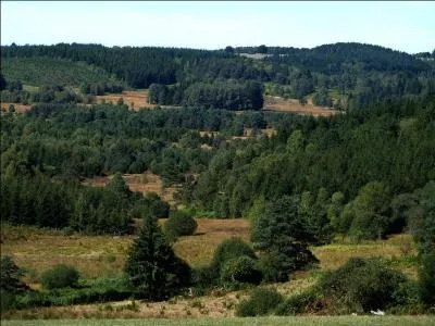 Quel est le point culminant du plateau de Millevaches dans le Massif central ?