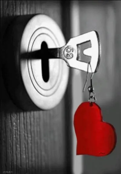 Quel est le titre du roman de Stephen King ?