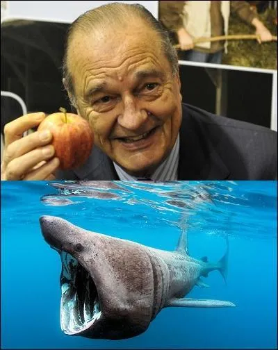 S'emploie plutôt en fin de festin, même si certains ambitieux ont toujours faim...