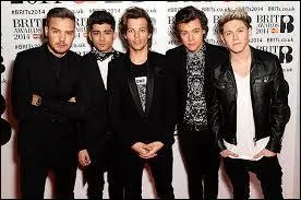 Comment s'appellent les fans des One Direction ? (facile)