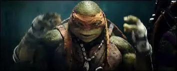 Comment s'appelle cette tortue Ninja ?