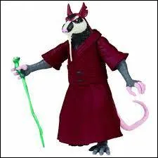 Comment s'appelle leur maître ?