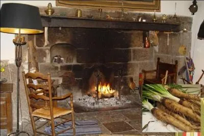 Des abattis d'oie et de canard : ailerons, pattes, cous, gésiers pour un « ragoût » nommé ---------.