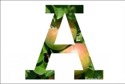 On trouve un "abat-son" dans les clochers.