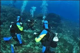 Comment dit-on en espagnol la "plongée" ?