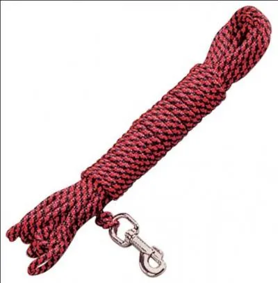 Comment tient-on un cheval en main ? (2 réponses)