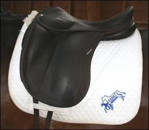 Comment fait-on pour enlever la selle ? (2 réponses)