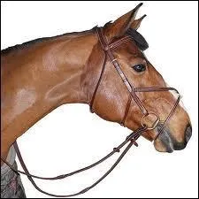 Comment fait-on pour enlever le filet ? (1 réponse)