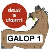 Quelles sont les règles de sécurité à cheval ? (2 réponses)
