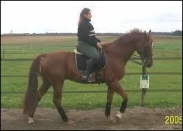 Comment partir au pas ? (1 réponse)