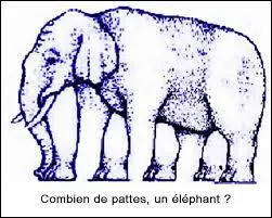 Combien de pattes a l'éléphant ?