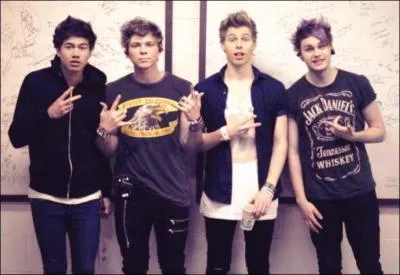 Quel nom porte la fanbase des 5SOS ?