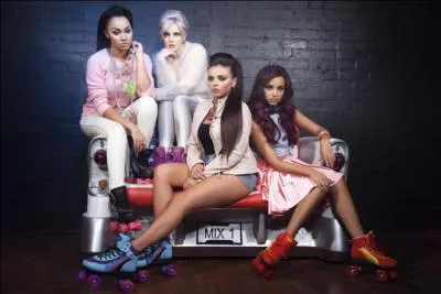 Quel nom porte la fanbase des Little Mix ?