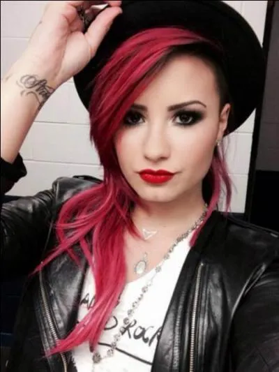 Quel nom porte la fanbase de Demi Lovato ?