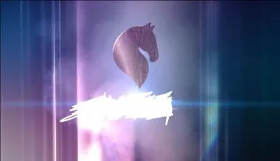 Qui chante le célèbre son des écuries "Je fais du CSO" ?