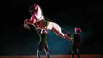 Qu'est-ce que le couard ?