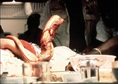 Quelle partie du corps de l'humanoïde trouvé a explosé ?