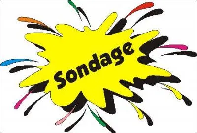 Le sondage mesure l'opinion sur :