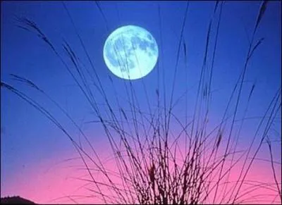 Le poids d'un objet sur la Lune est :