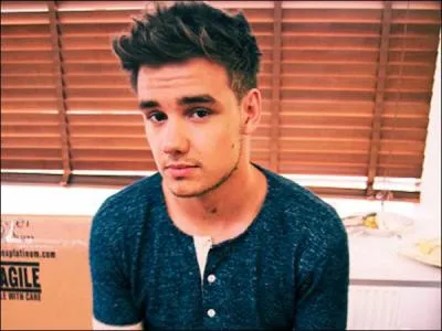 Liam a chanté le premier couplet de "Don't Forget Where You Belong".