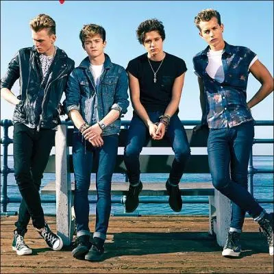 Avec quelle chanteuse les "The Vamps" ont-ils chanté "Somebody to You" ?