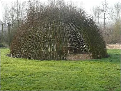 Que fait-on avec l'osier vivant ?