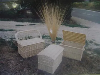 Que sont ces paniers ?