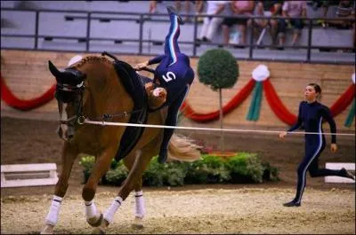 Comment s'appelle cette discipline ?