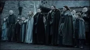 Je fais partie de la maison Stark de Winterfell, mon loup est/était gris et je me suis marié(e) durant la saison 2. Qui suis-je ?
