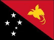 À quel pays correspond ce drapeau ?