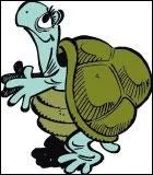 Comment s'appelle la tortue de la famille ?