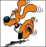 Parmi ces races de chiens, laquelle appartient à Bill ?