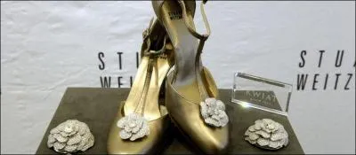 Les chaussures les plus chères du monde coûtent :