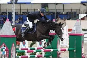 Cheval brillant en CCE et en CSO pouvant arborer toutes les robes, c'est le...