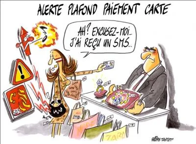 En France, on peut aussi appeler une carte de crédit :