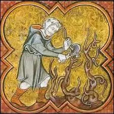 Quel vin, épicé et sucré au miel, auquel on ajoutait les épices royales, allait-on savourer pour digérer le paon rôti ?