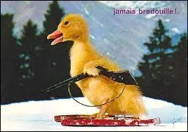 "Les Aventures de Saturnin" est une ancienne série télévisée française qui fut diffusée de :